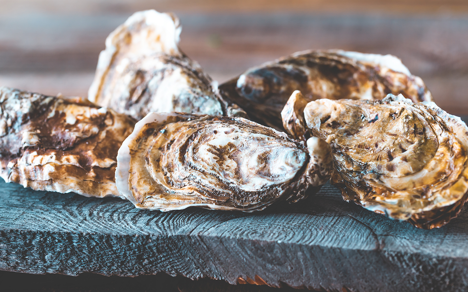 Read more about the article Are Puerto Peñasco Oysters Safe?